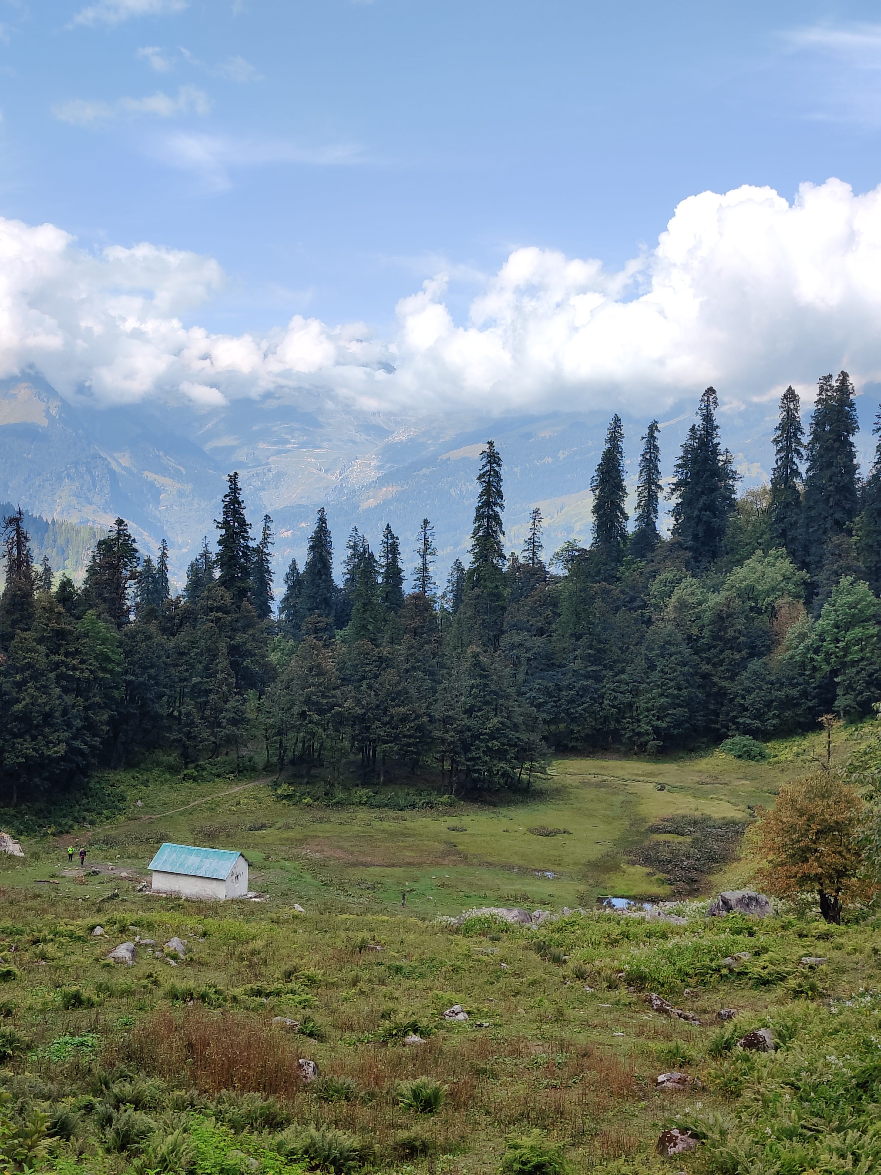 Lamadugh top view with Manali in background