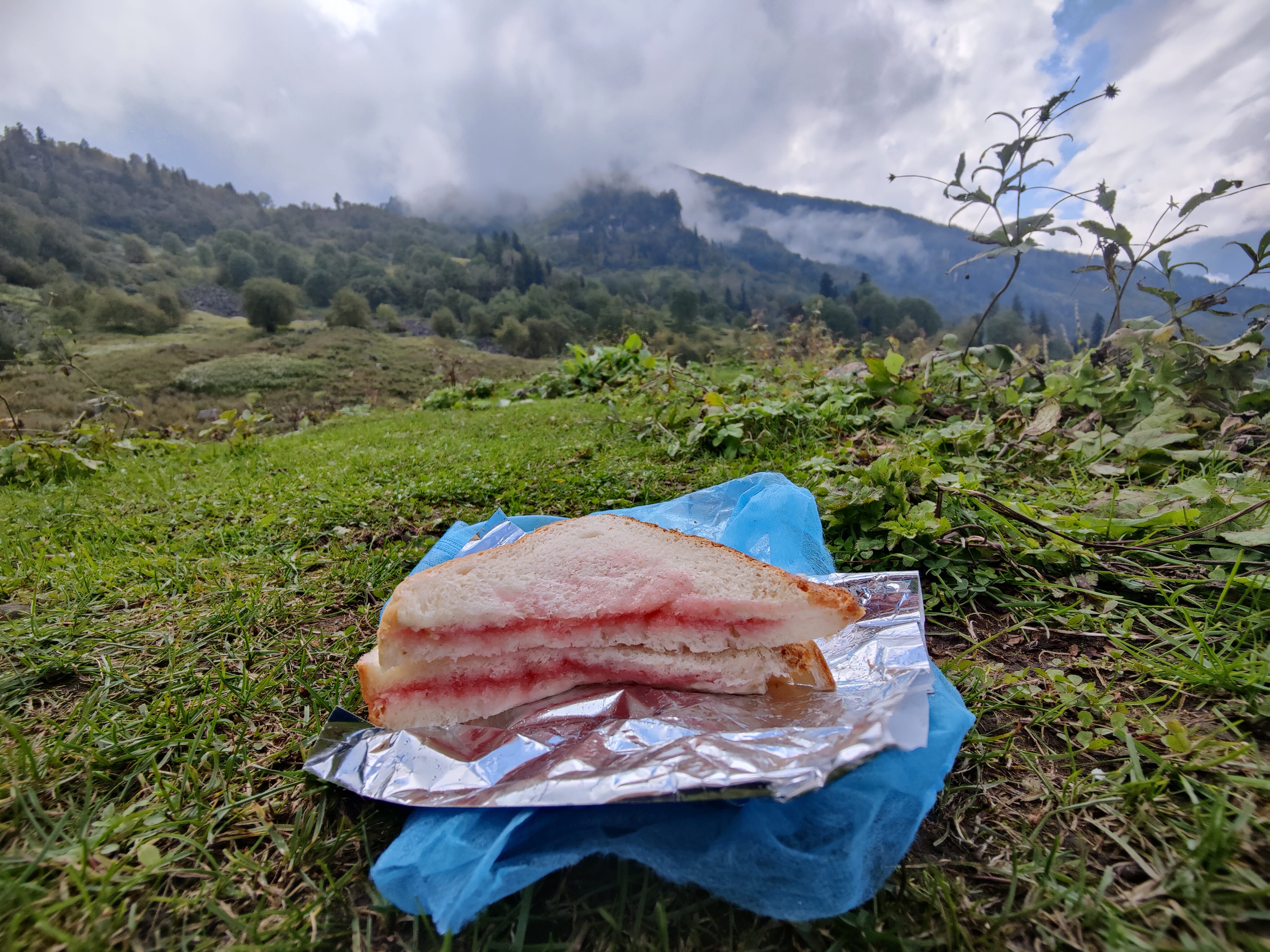 My sandwich