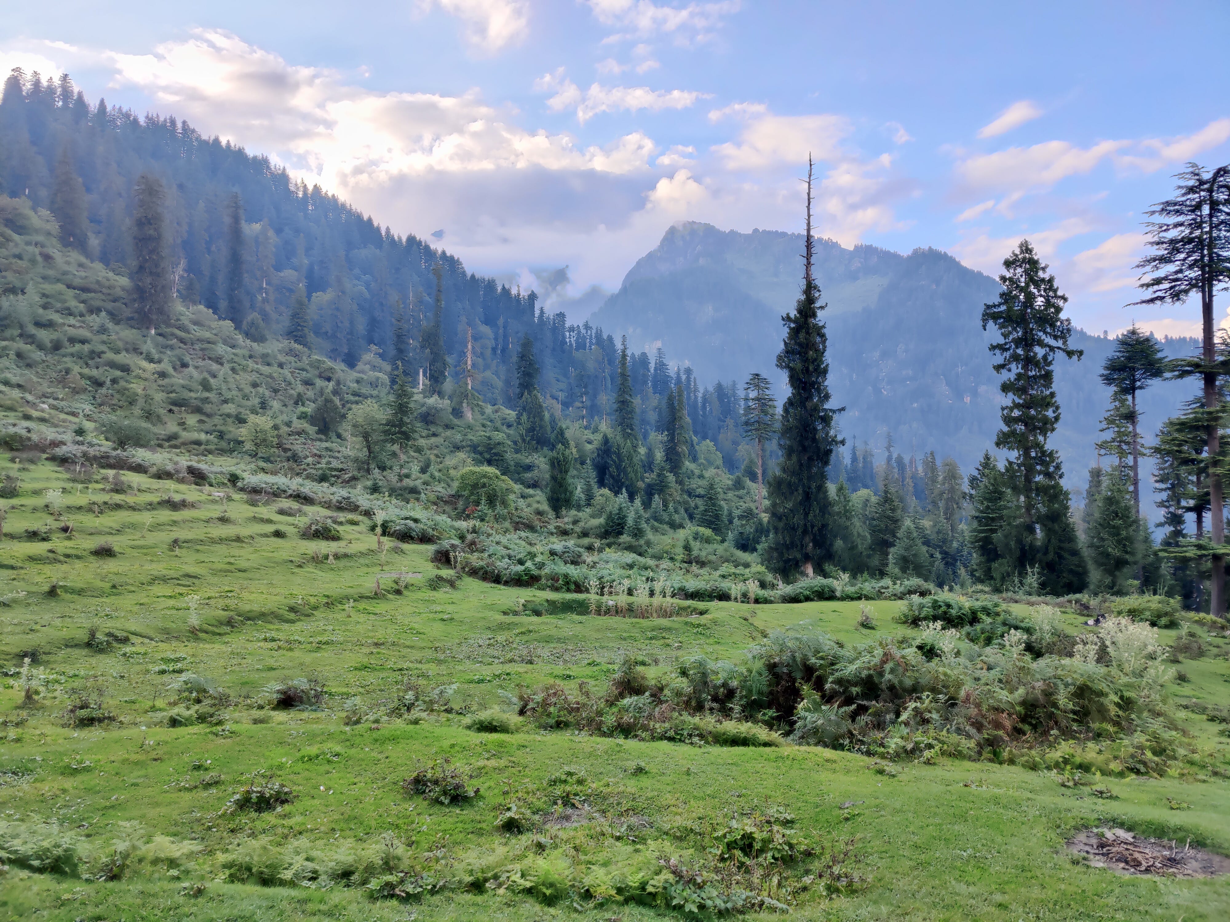 Beautiful pastures while descend