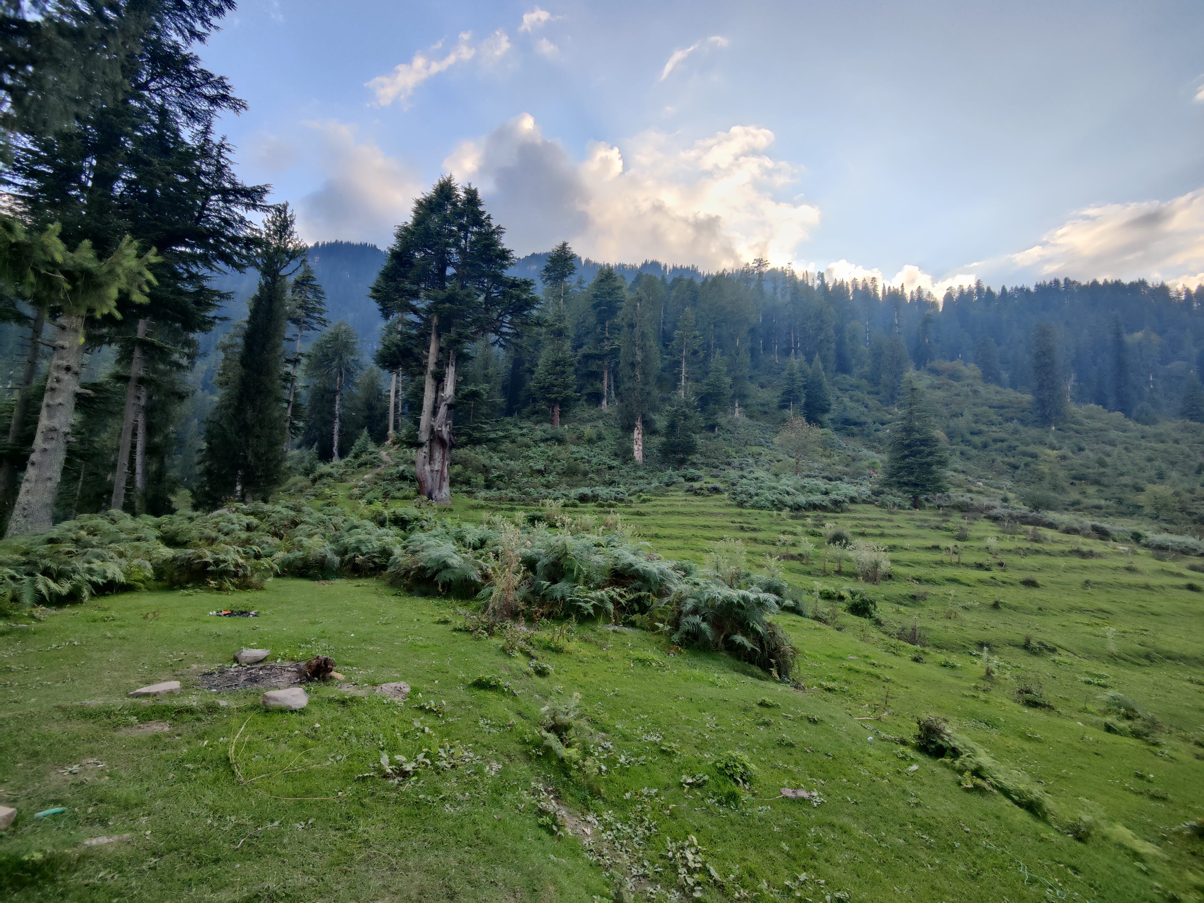 Pastures landscapes