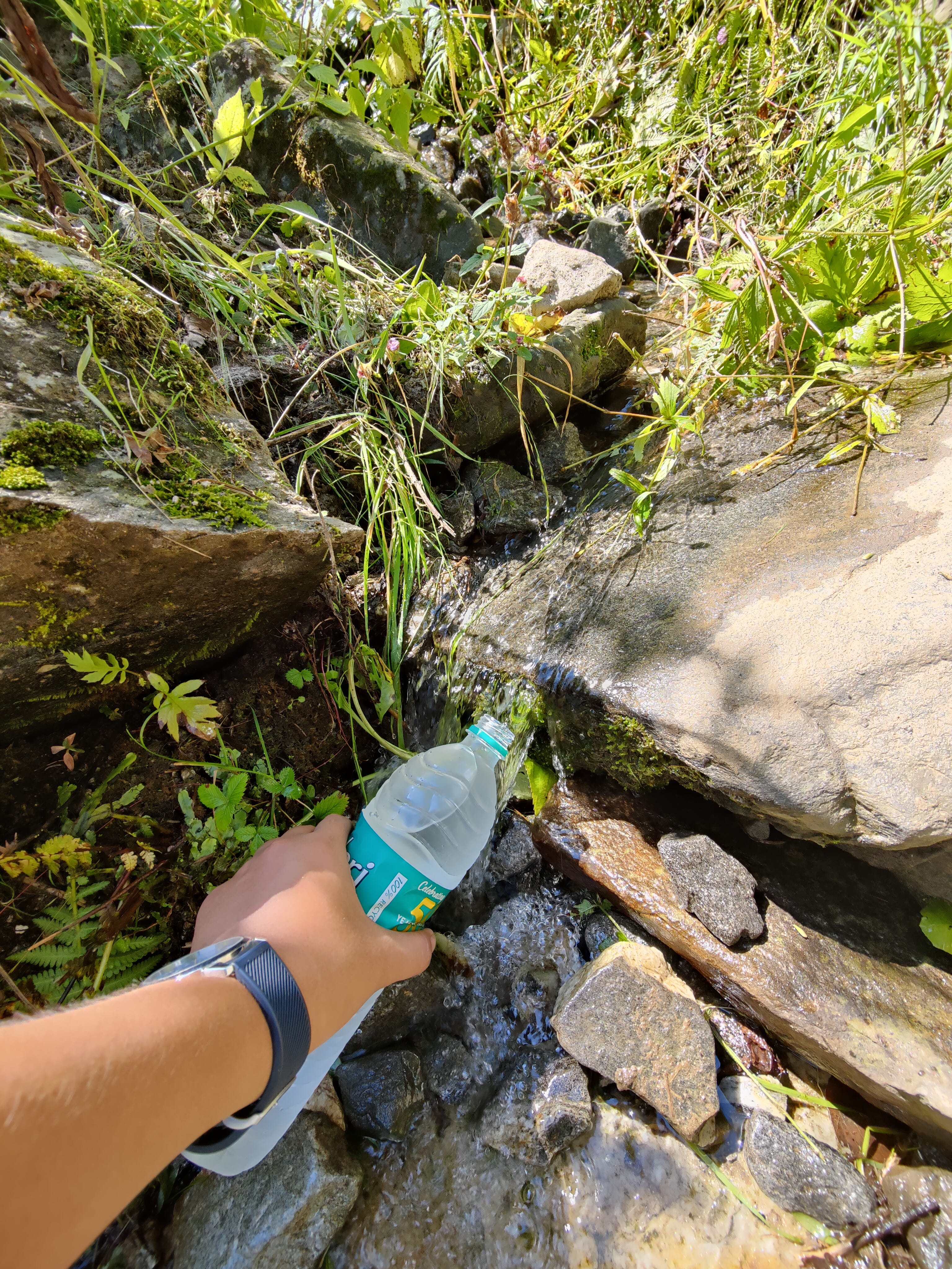 Refilling waterbottle from stream