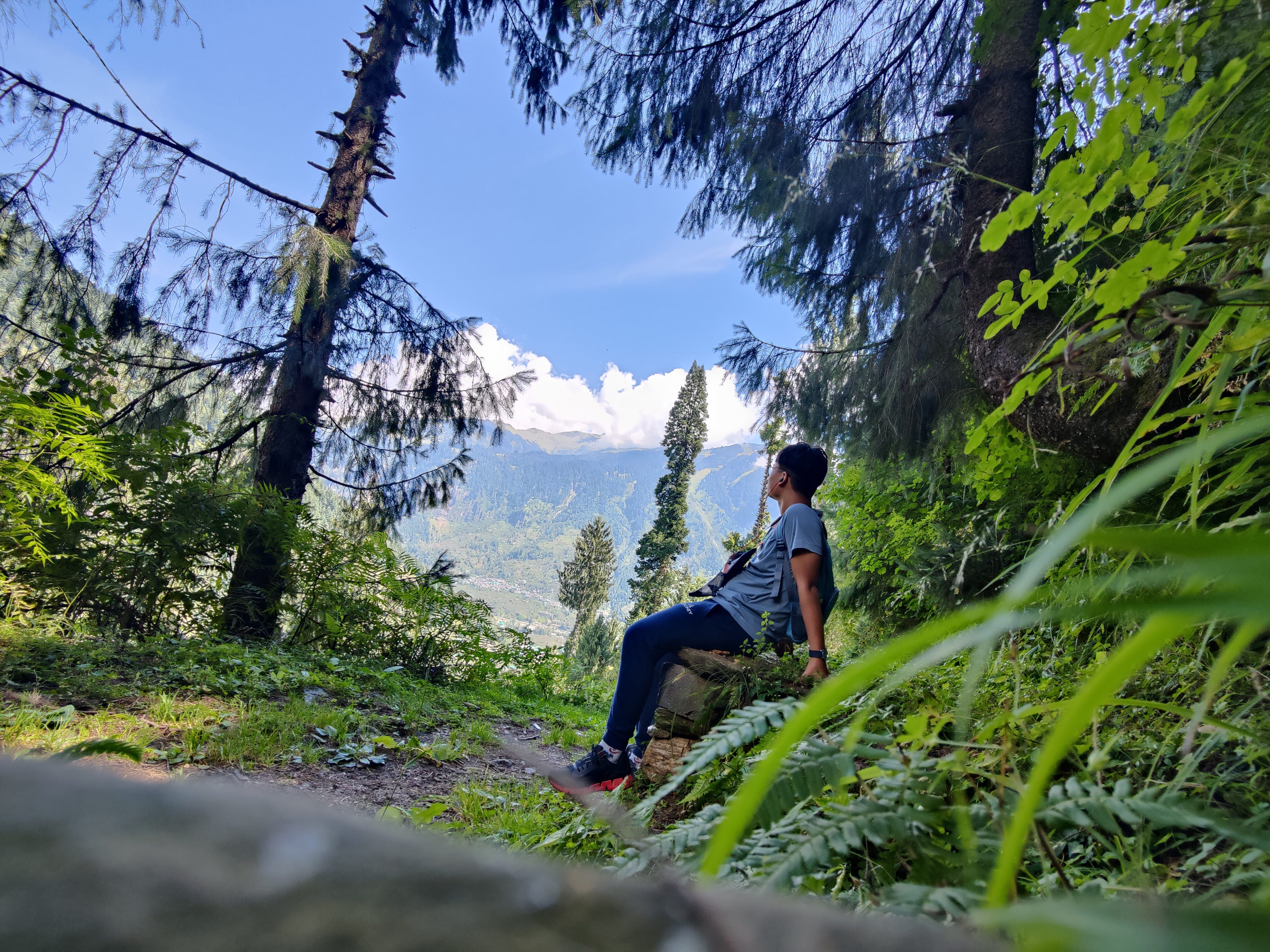 Second jungle view with me sitting